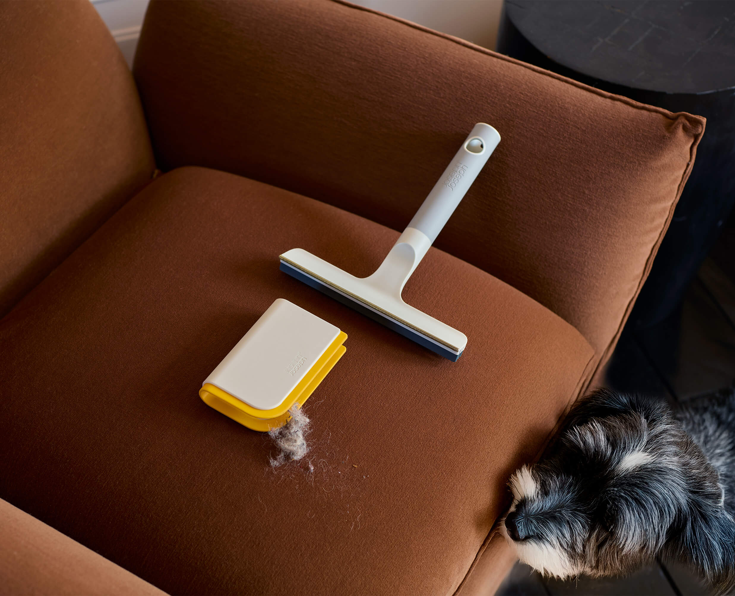 CleanTech™ Pet Hair &amp; Carpet Cleaning Set