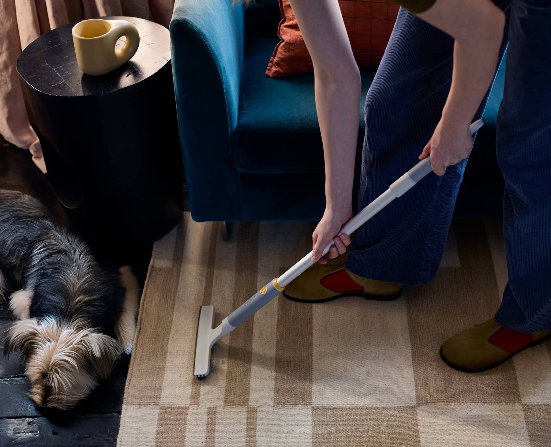 CleanTech™ Pet Hair &amp; Carpet Cleaning Set