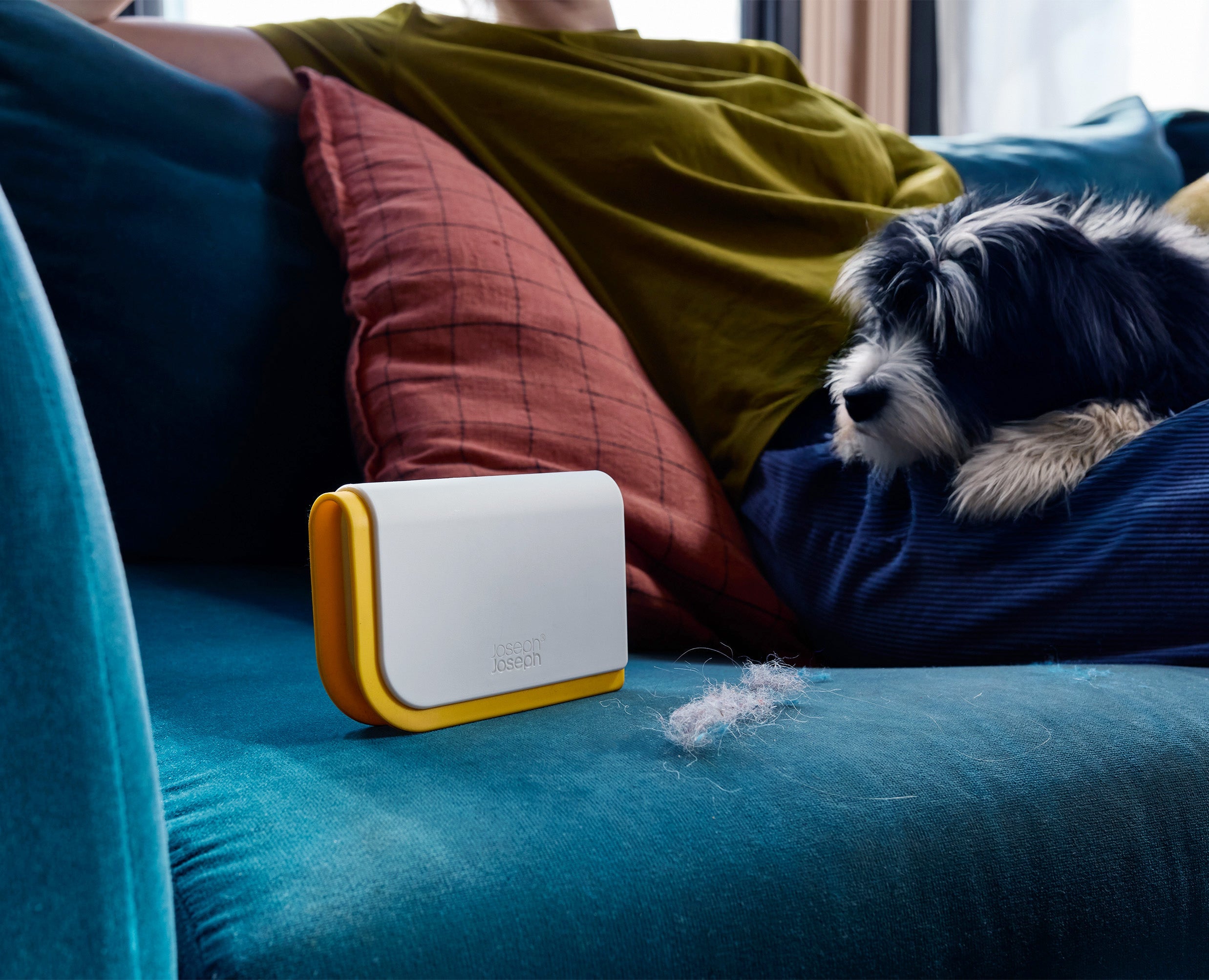 CleanTech™ 3-in-1 Pet Hair Remover | Joseph Joseph US