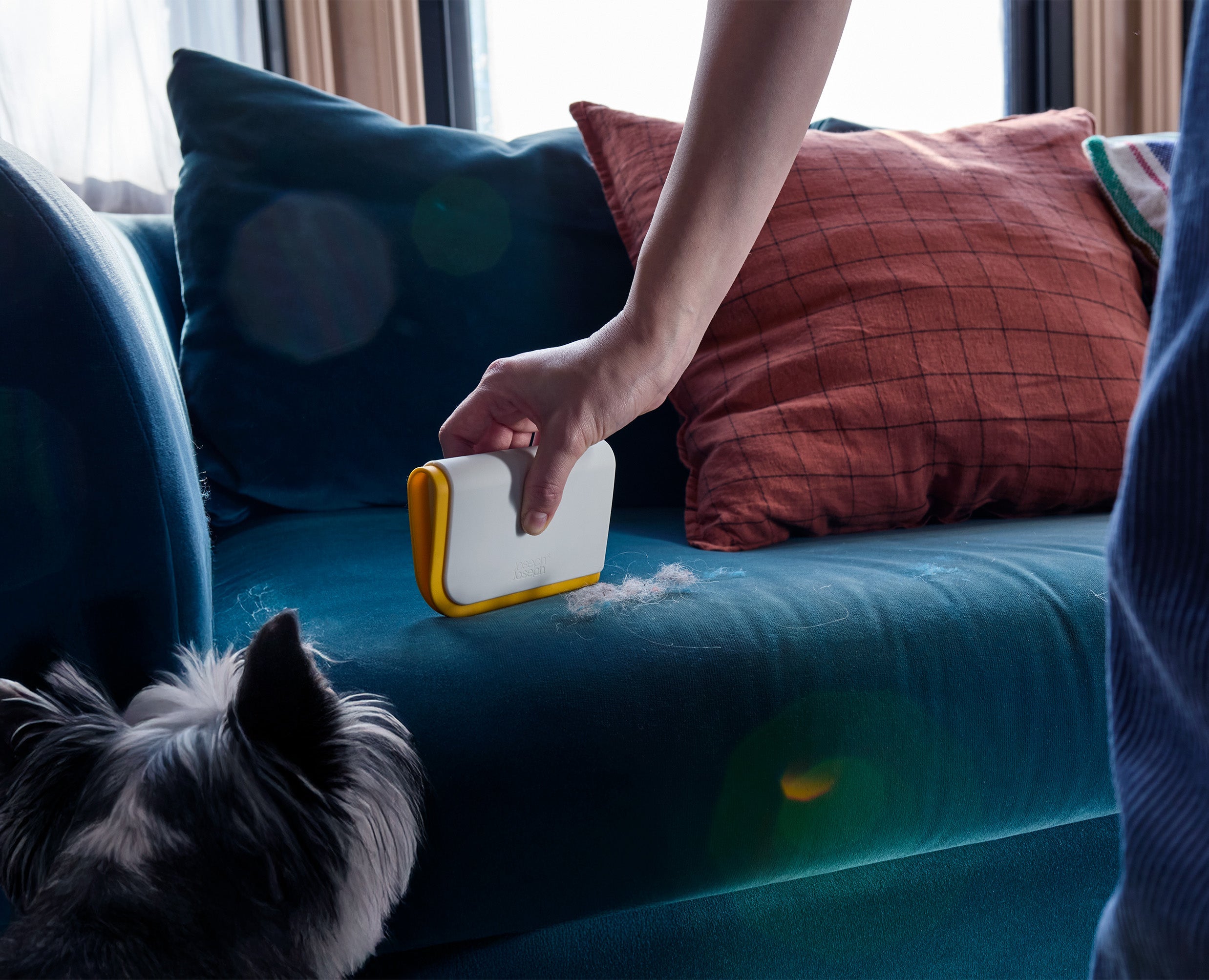 CleanTech Carpet and Pet Hair Cleaning Kit | Joseph Joseph US
